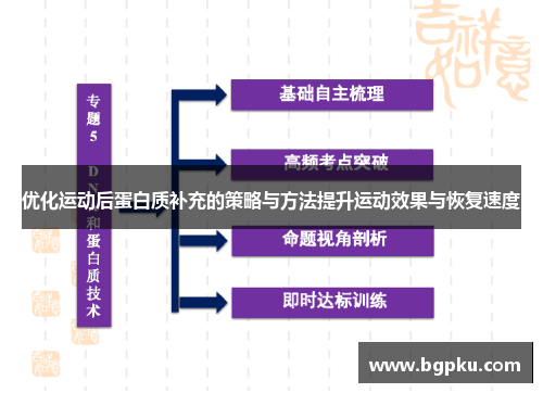 优化运动后蛋白质补充的策略与方法提升运动效果与恢复速度